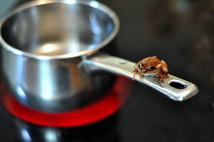 Frog on a saucepan. Image from wikipedia (http://en.wikipedia.org/wiki/Boiling_frog)