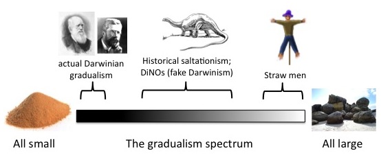 gradualism_spectrum